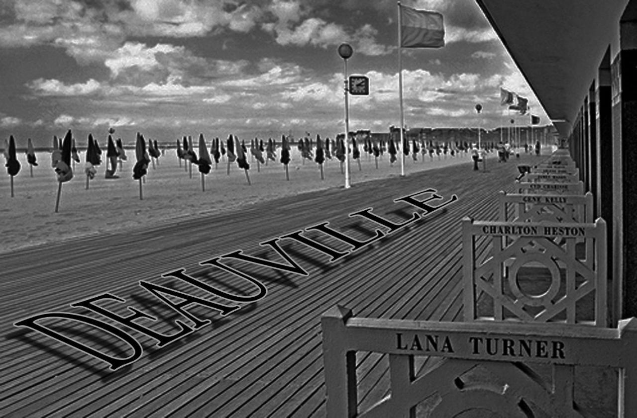 Studio Duplex L'Ecole Buissonniere Trouville-la-Haule Exteriör bild